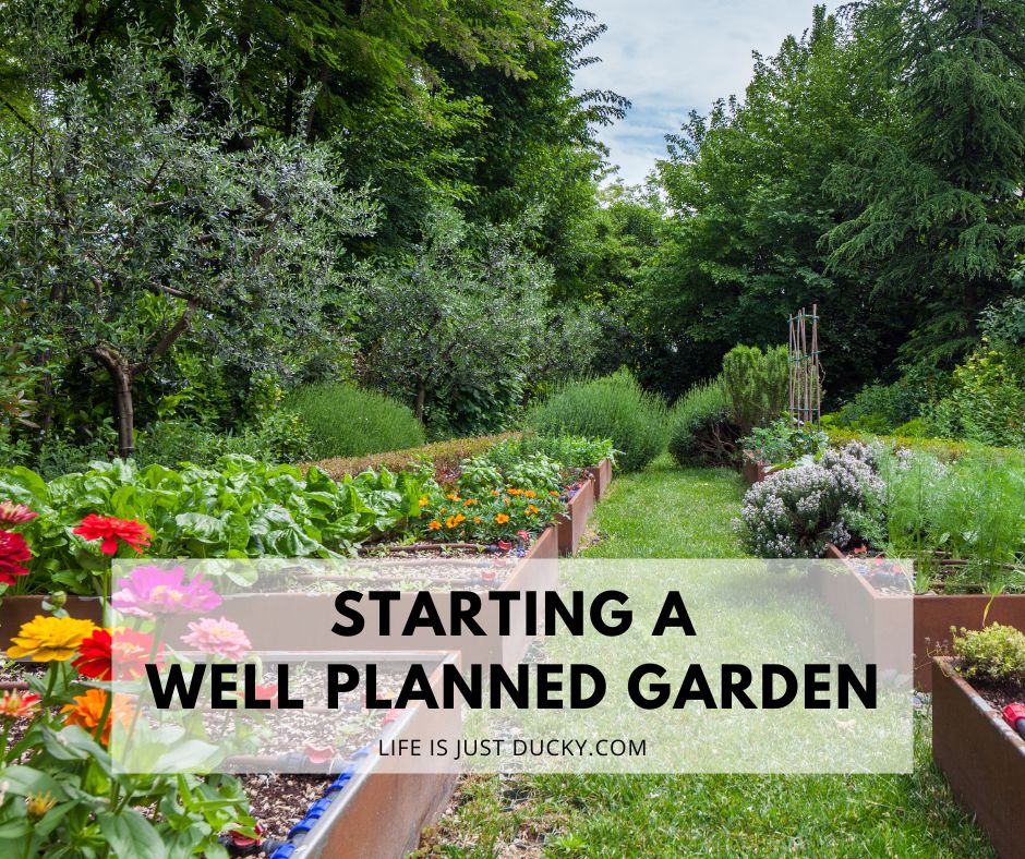 Starting A Well Planned Garden.