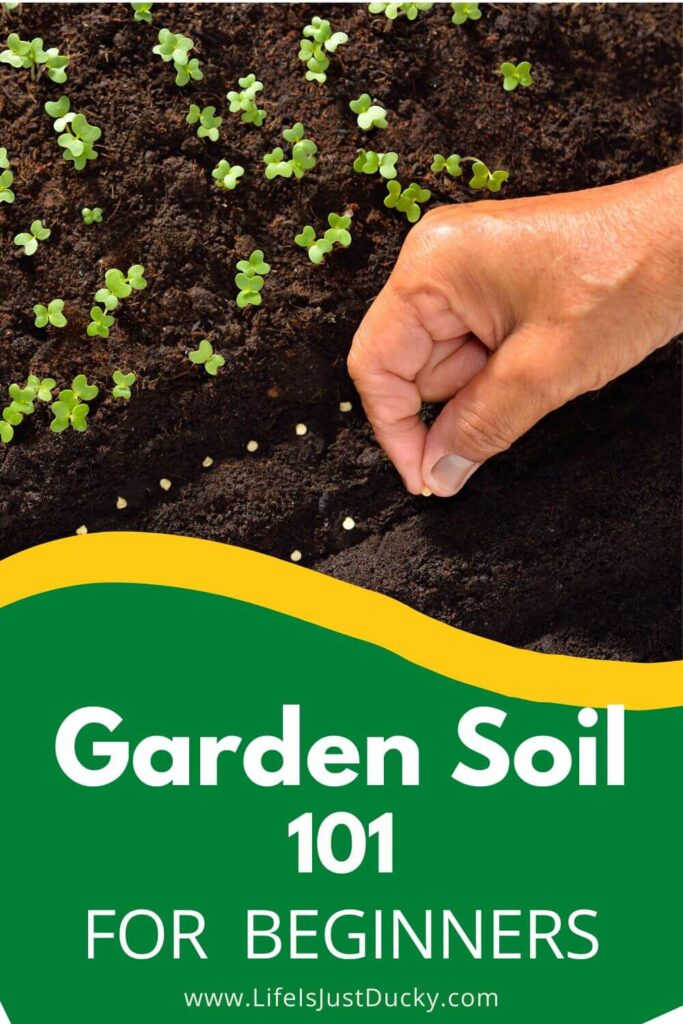 Planting seeds in rich garden soil.
