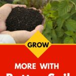 A handful of soil.