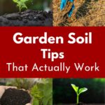 4 photos of soil.