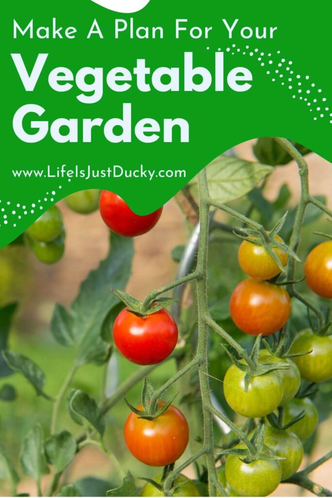 Tomatoes In A Well Planned Garden.