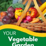Basket of fresh vegetables.