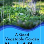 Vegetable Garden.
