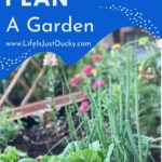 Vegetable Garden.
