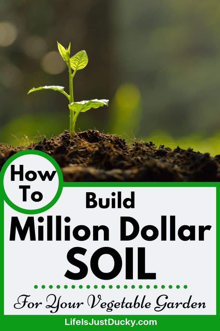 Build Million Dollar Garden Soil