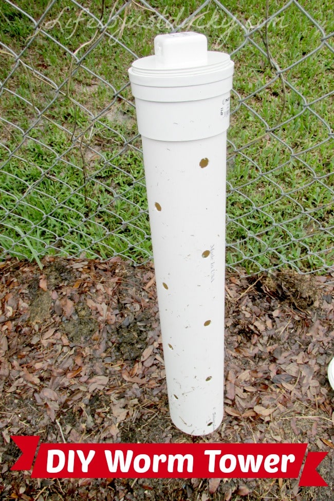 Make your own Worm Tower and let those little red wigglers fertilize the garden for you.