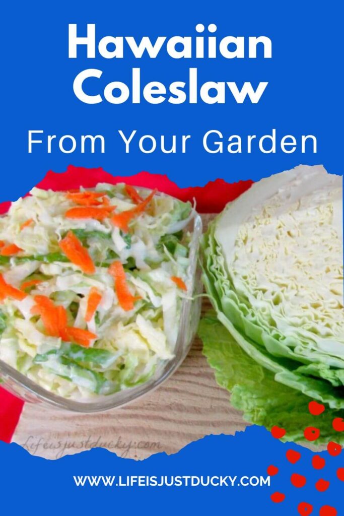 Cabbage and Hawaiian Coleslaw.