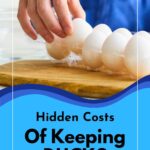 Placing eggs in a clear carton.