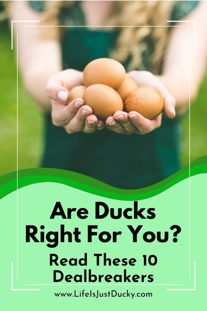 Holding Eggs.