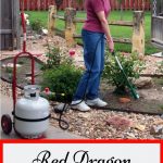 19 of the best ways to get rid of weeds in your vegetable garden. Red Dragon Weeder