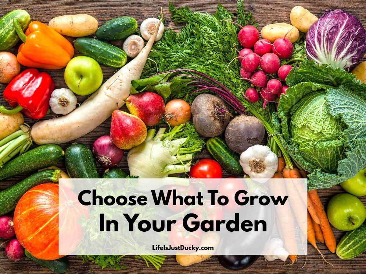 Vegetables and fruit.