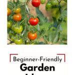 Cherry tomatoes.