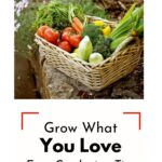 What To Plant. Basket of vegetables.