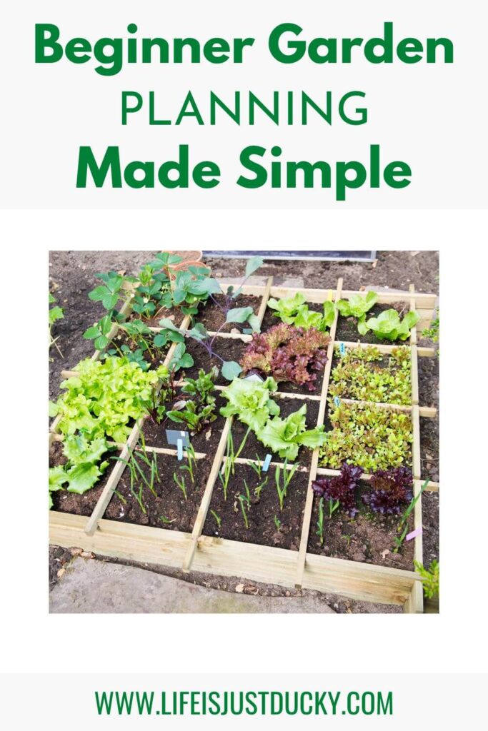 A square foot garden laid out.