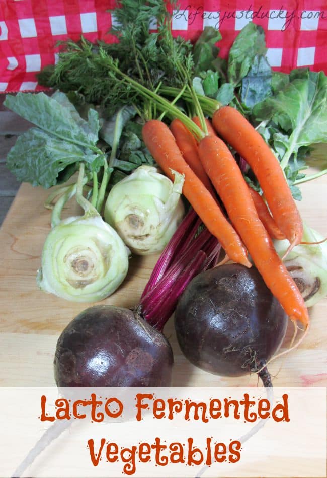 Lacto Fermented Vegetables - How to ferment. What can be fermented. And Why!