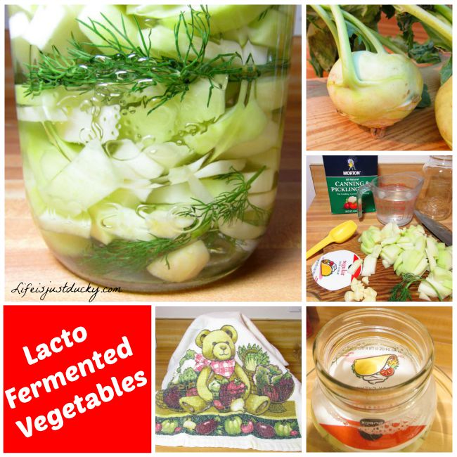Lacto Fermented Vegetables - Easy to do and good for you too!