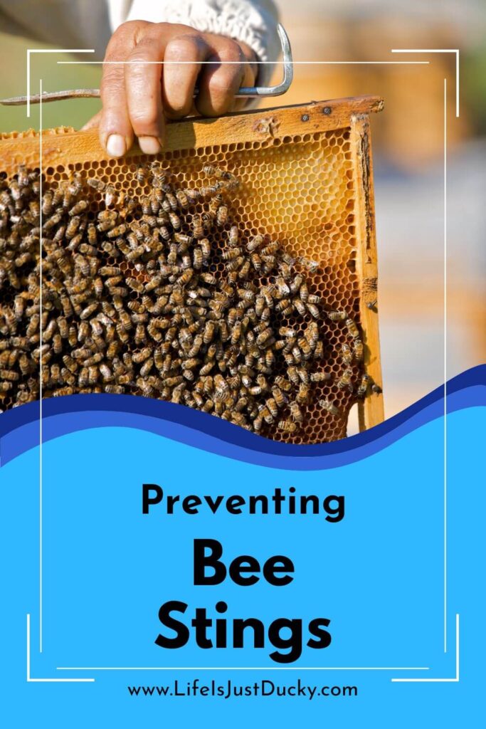 Bee hive. How to check your hive without getting stung.