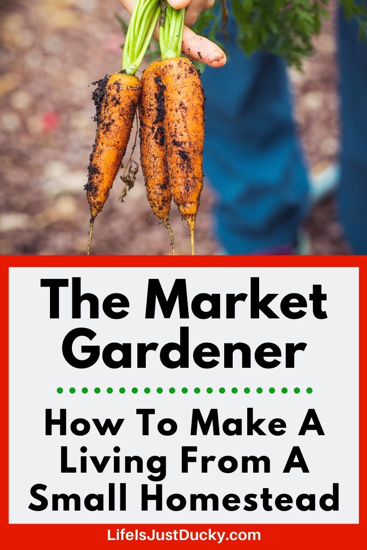 Carrots for the Market Gardener
