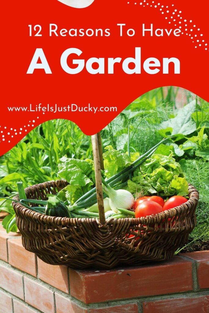Reasons To Garden - Vegetable Garden.