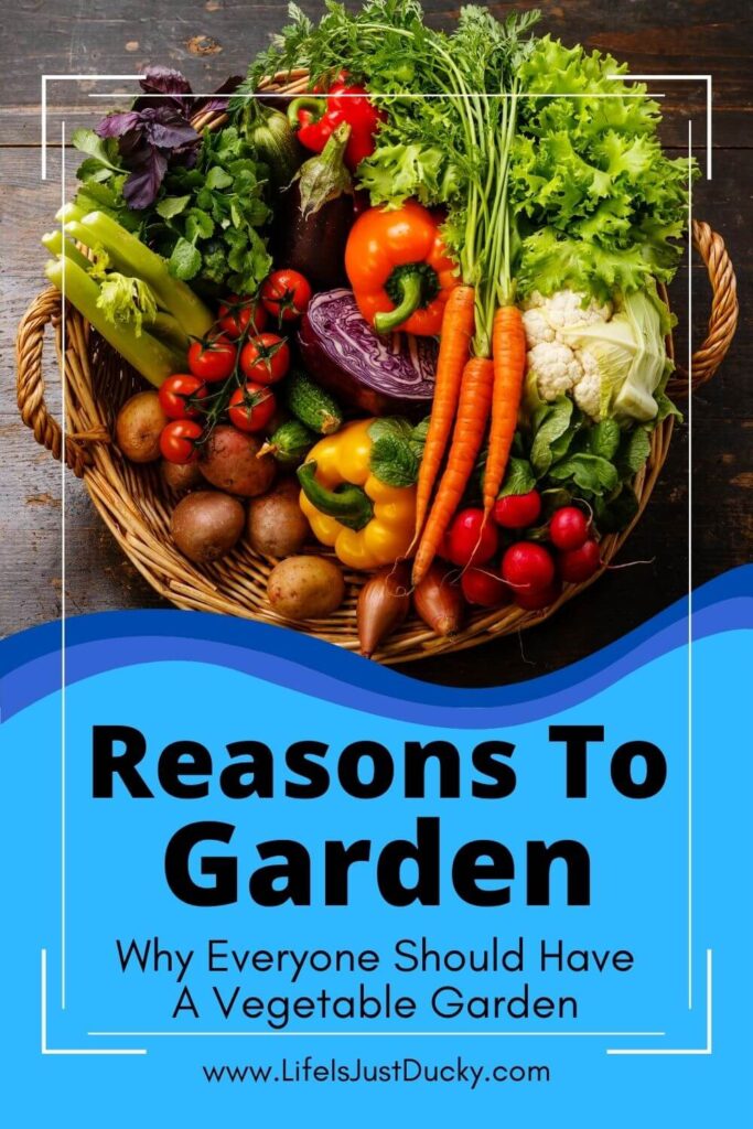 Reasons To Garden - Vegetable Garden.