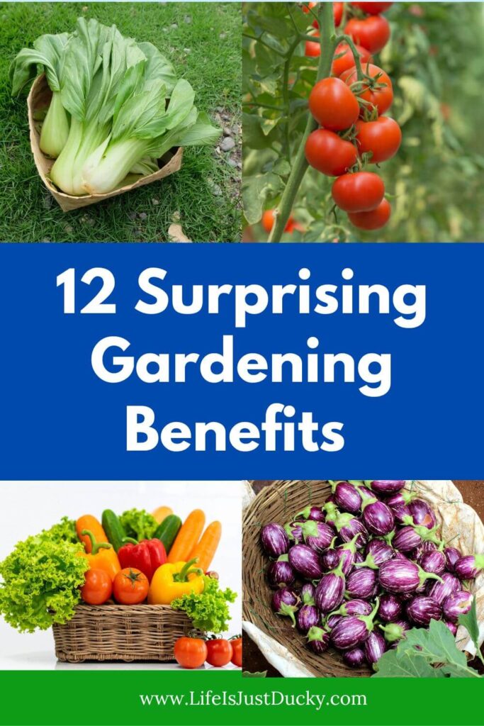 Benefits of growing your own food. Reasons to garden.