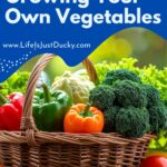 Basket of vegetables.