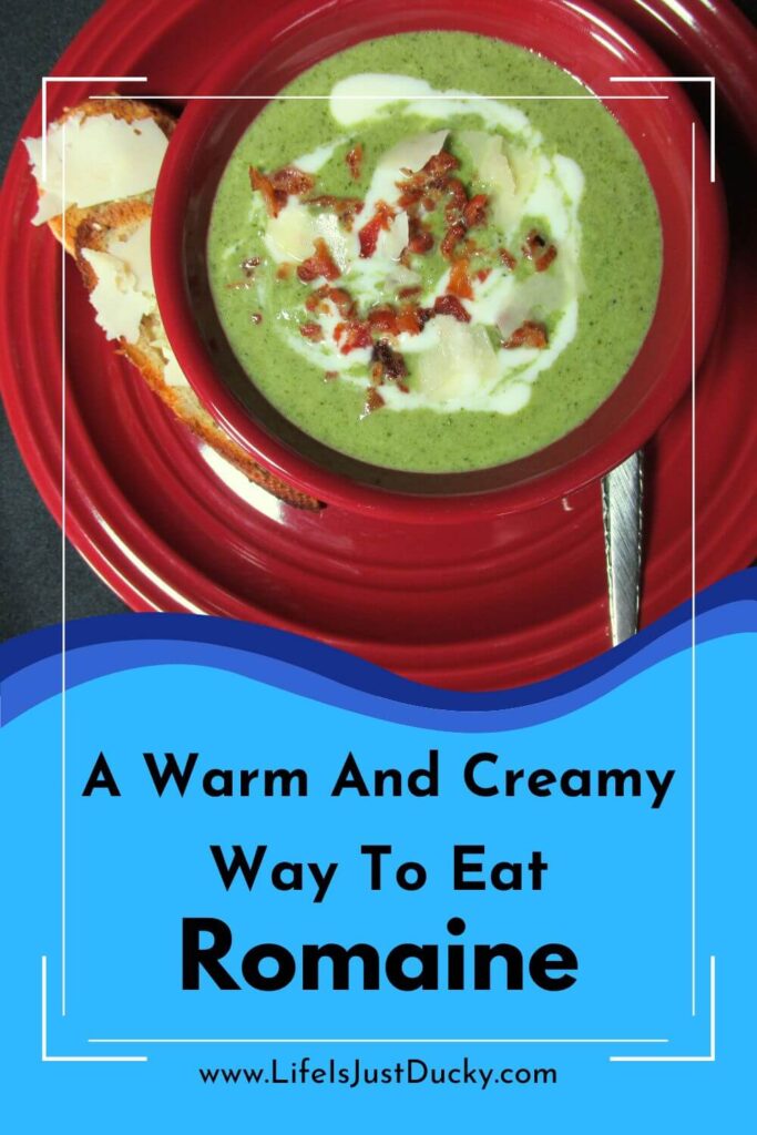 Green soup in red bowl.