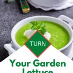Caesar Salad Soup