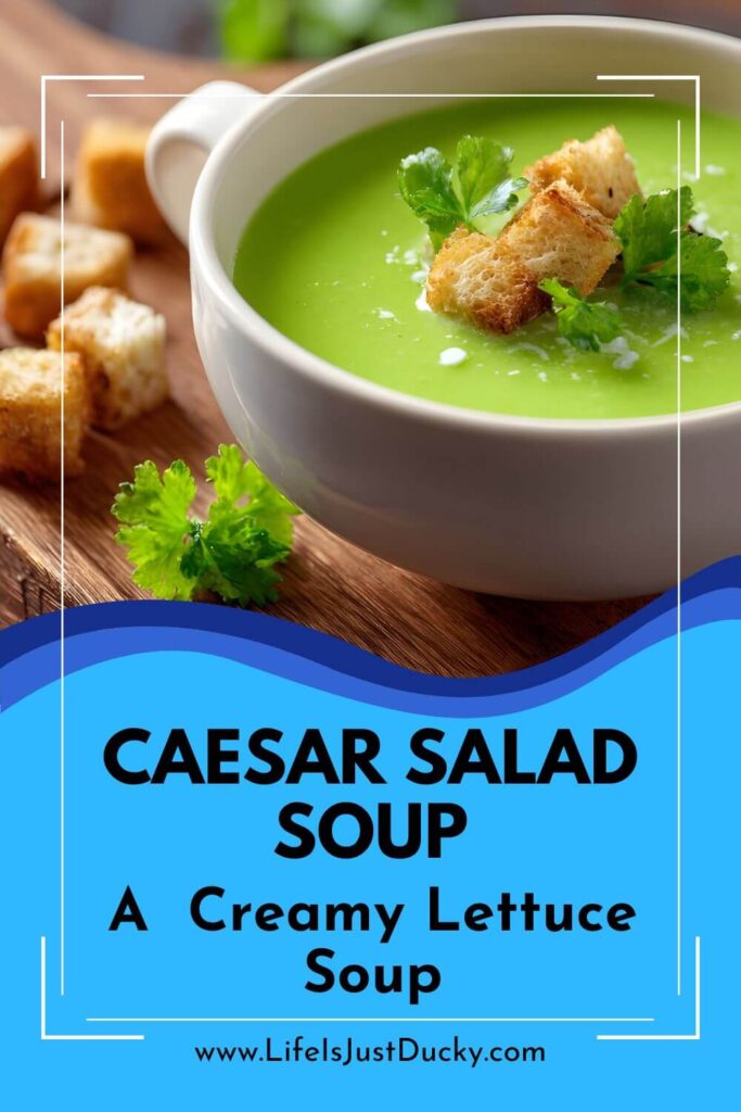 Caesar salad soup in a white bowl.
