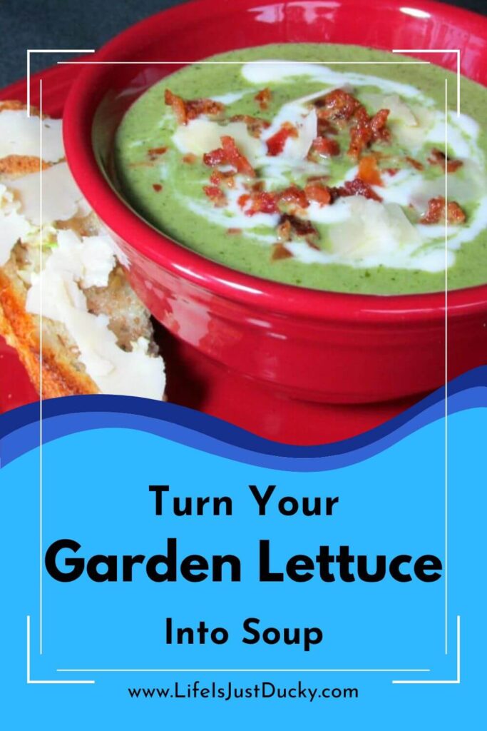 Bowl of Caesar Salad Soup in a red bowl.