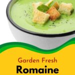 Caesar salad soup.