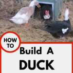 Nesting boxes for ducks.