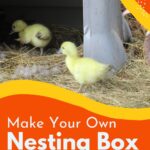 DIY Duck Nesting Box with yellow ducklings.