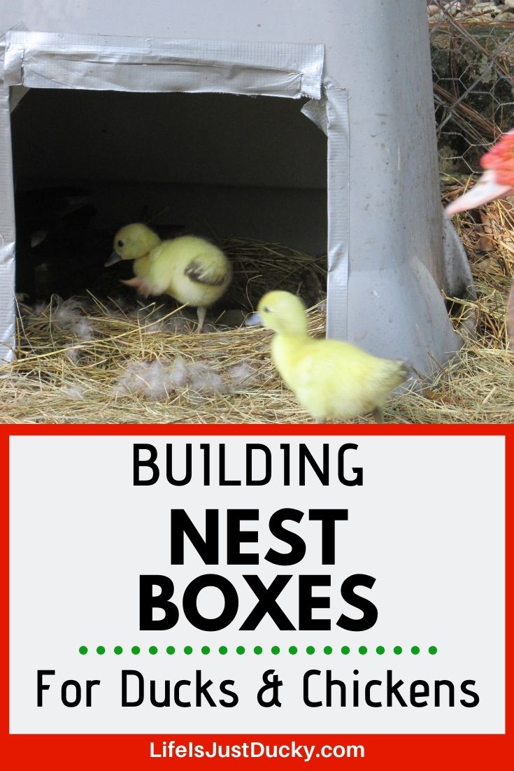 Nesting boxes for ducks.