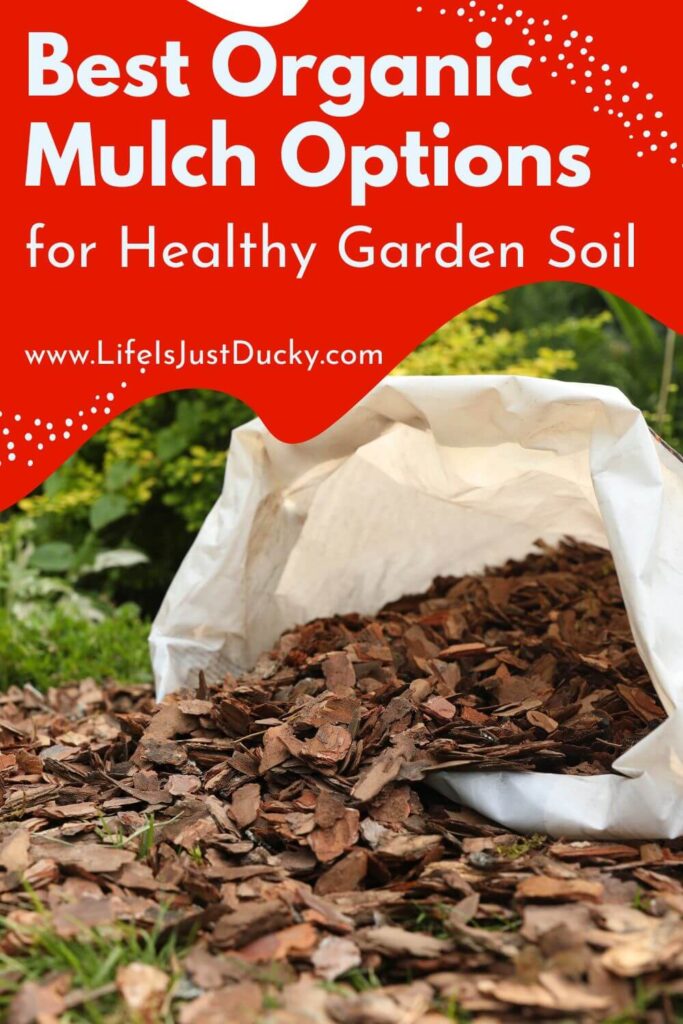 A bag of mulch.