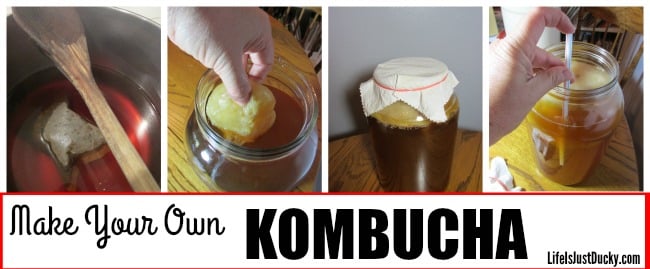 Improve your digestion with Kombucha. What is kombucha? It's not only a healthy soda replacement. It tastes good too! Try making this good for you fermented beverage. You can make this yourself with this recipe. Step by step DIY instructions. It's EASY!