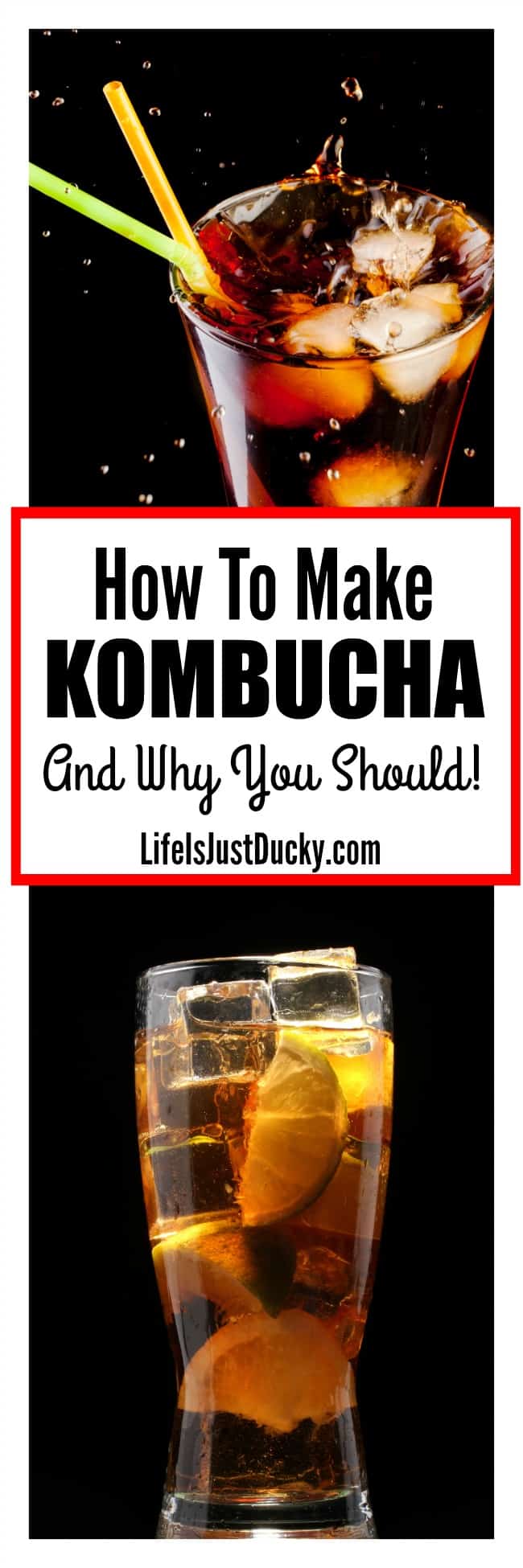 Improve your digestion with Kombucha. What is kombucha? It's not only a healthy soda replacement. It tastes good too! Try making this good for you fermented beverage. You can make this yourself with this recipe. Step by step DIY instructions. It's EASY!