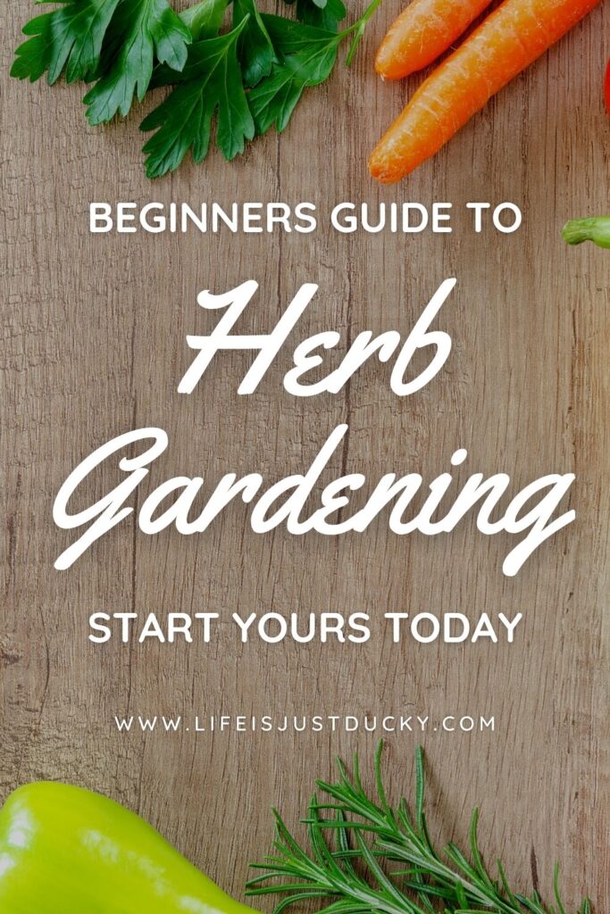 Herbs on a board