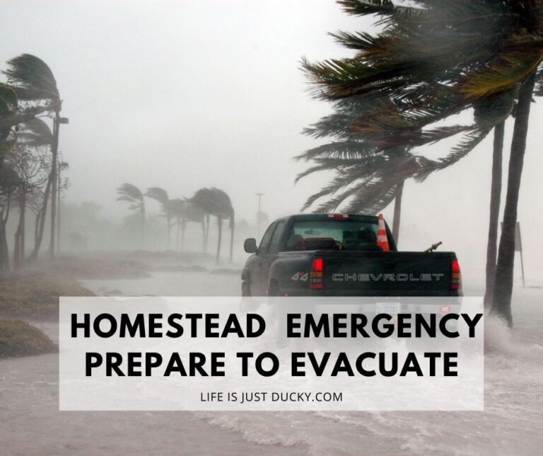 Huricane - Evacuate Your animals.