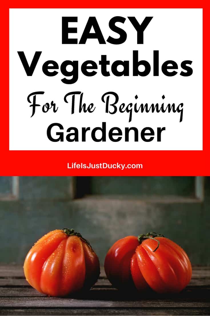 The 12 Easiest Vegetables To Grow In Your Garden And How To Grow Them. For food and fun in your back yard garden you will love these simple tips for growing veggies in your backyard. These are easy vegetables even in small spaces and containers. Great for #beginning gardeners #easy vegetables #gardening