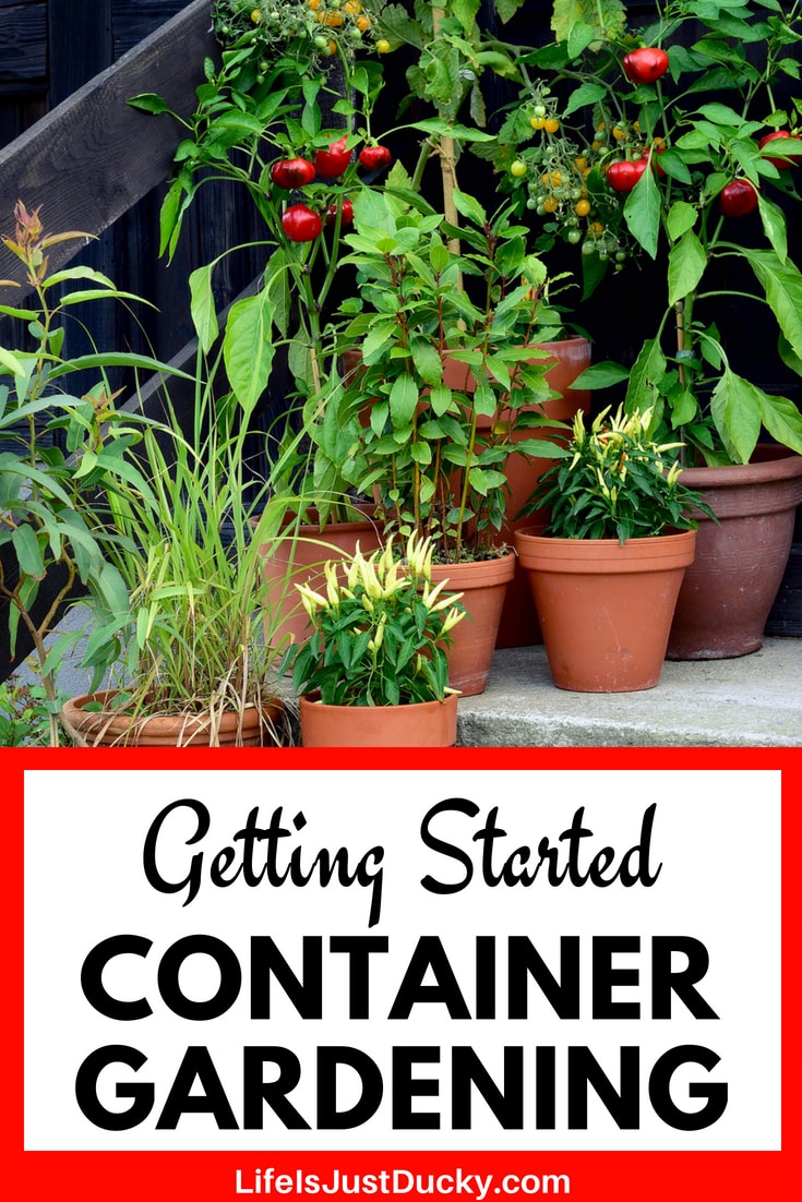 Getting Started Container Gardening. Ever wanted to have a veggie garden buy had no space. You can grow fruits and vegetables anywhere in pots. It's easy! Whether on a patio, deck, front porch or haning baskets, you can grow your own food. Even grow edible landscaping. It's simple even in small spaces or in an apartment. Tips and tricks on picking the right kind of container and making your own soil. #gardening ideas #garden tips #container garden #growing vegetables
