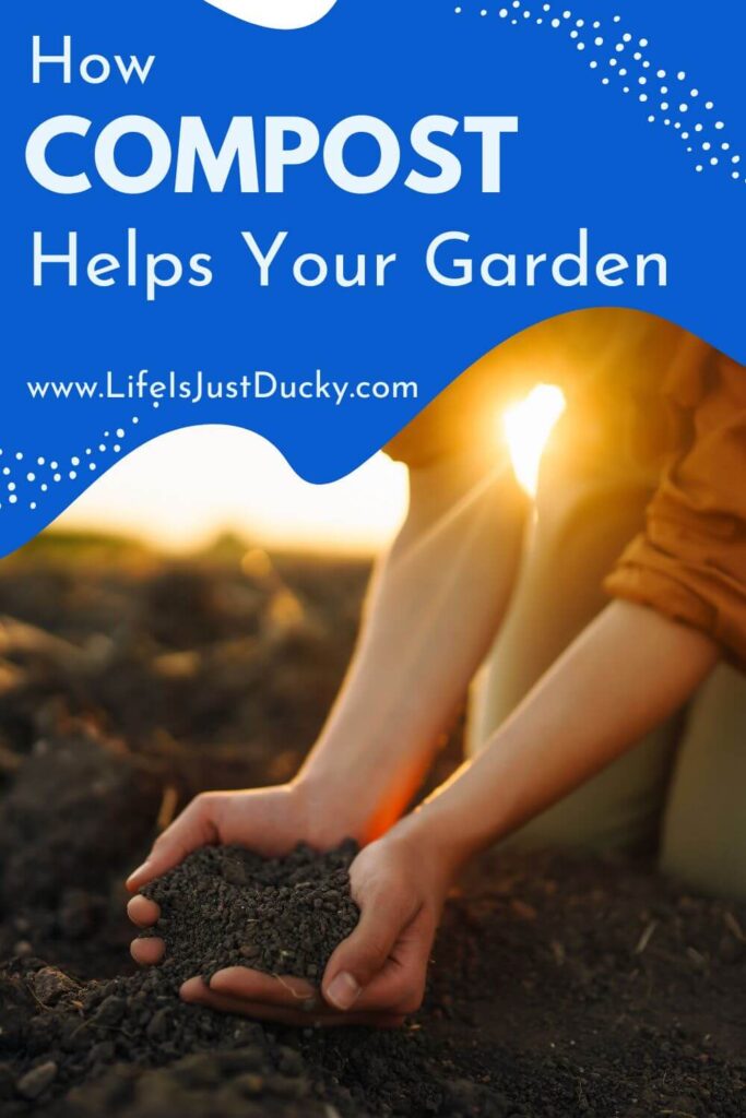 Scooping up garden soil at sunrise.
