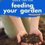 Handful of soil. Composting.