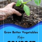 Seedling being planted.