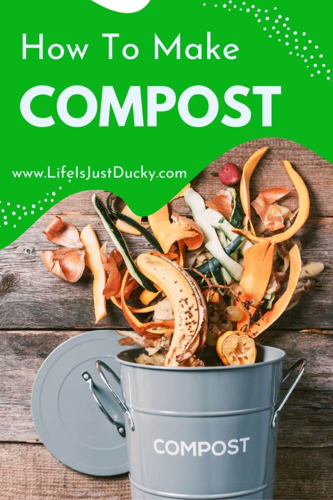 Food Scraps to compost.