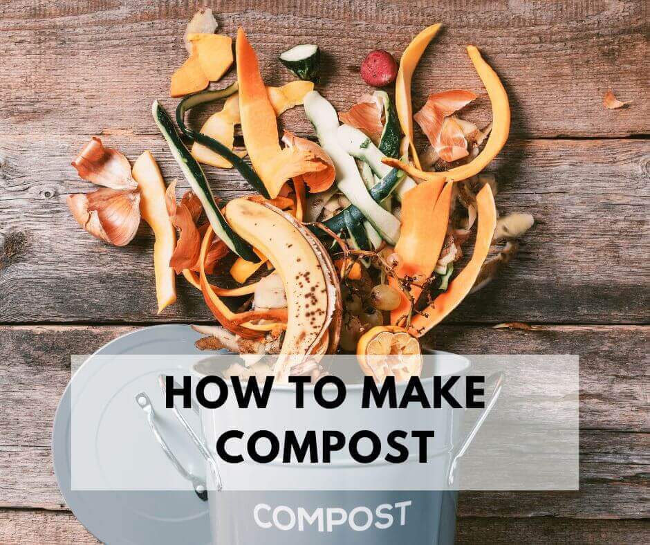 Vegetable and fruit scraps for composting.