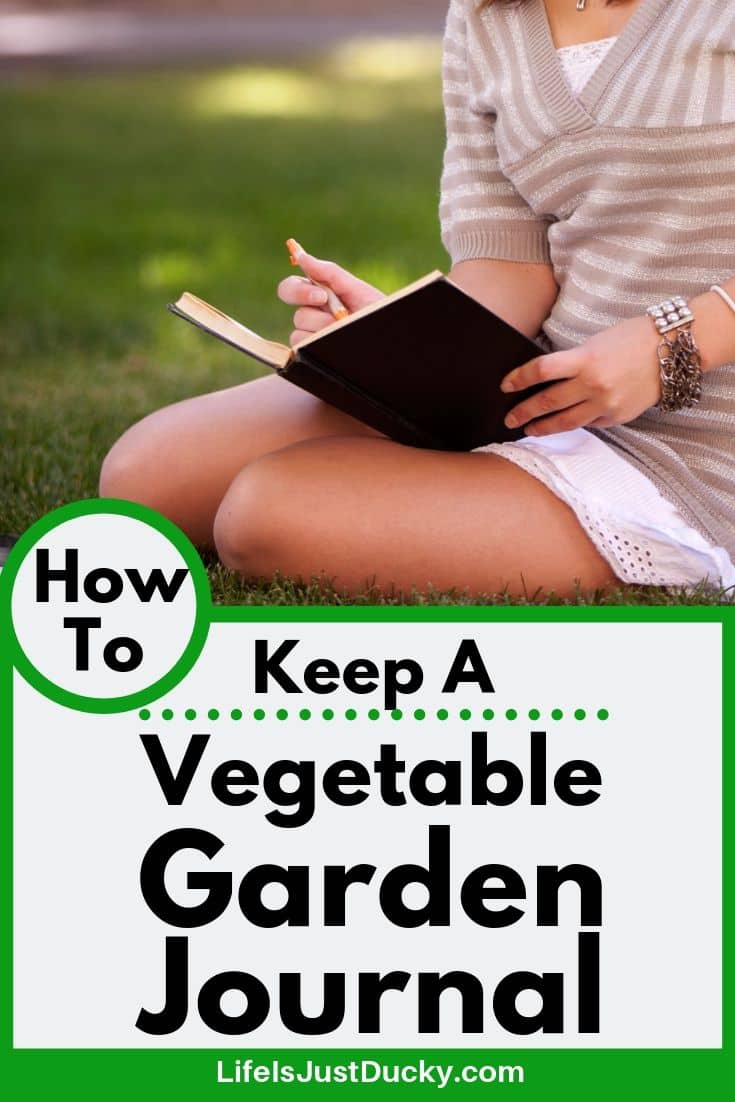 Why you need a vegetable garden journal.