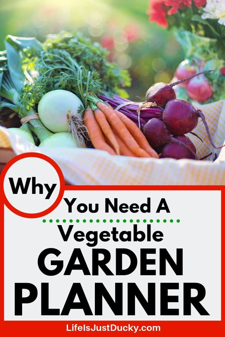 Why you need a vegetable garden journal.