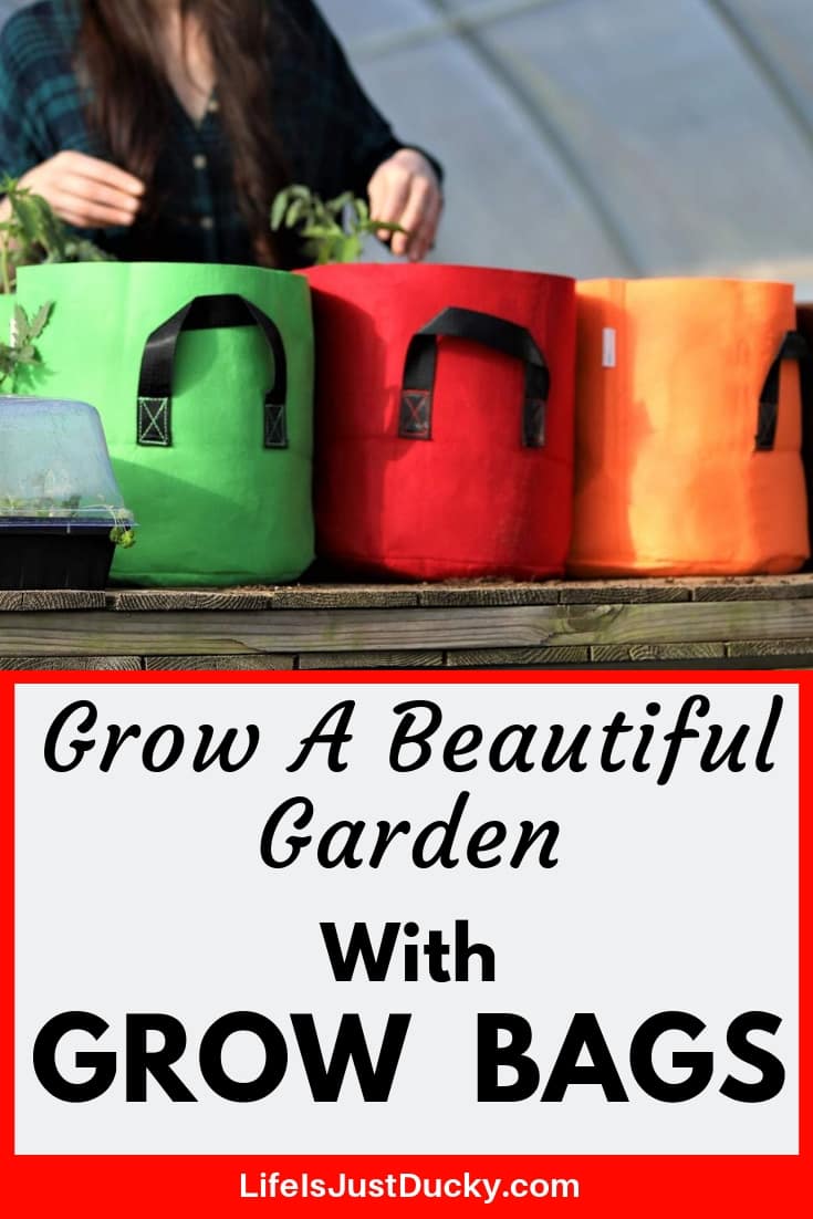 Grow bags are the easiest way to start a vegetable garden.