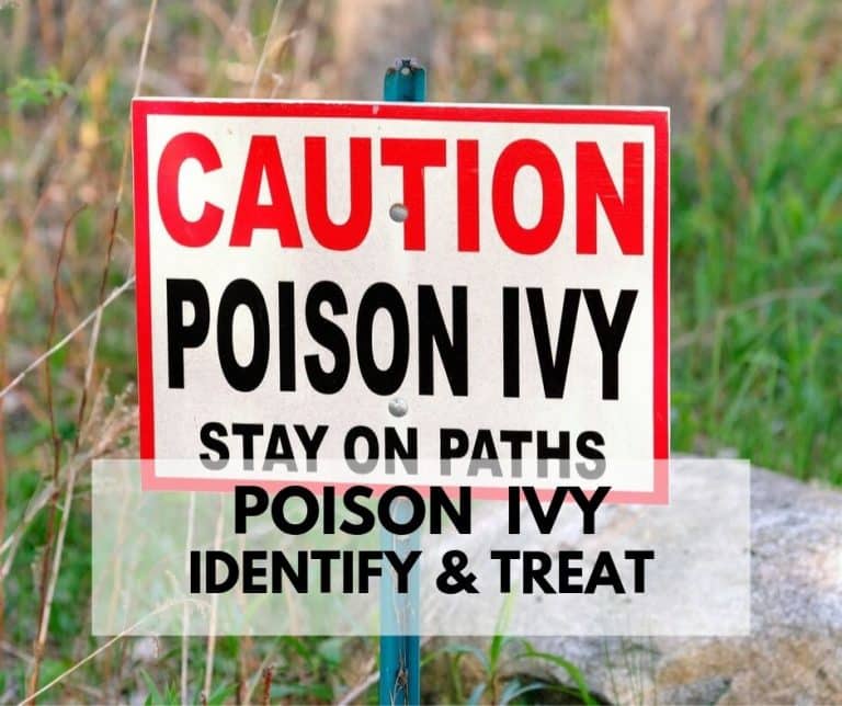Poison ivy sign